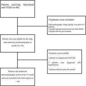 Flow diagram. CAD: coronary artery disease. VEGF: vascular endothelial growth factor.