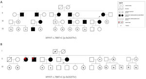 Pedigrees of two families (A and B) carrying the same MYH7 variant (c.788T>C, p.Ile263Thr), illustrating heterogeneity in disease expression and differences in disease penetrance.