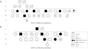 Pedigrees of two families carrying different MYH7 variants (family A: c.1988G>A, p.Arg663His; family B: c.2770G>A, p.Glu924Lys), illustrating heterogeneity in disease expression.