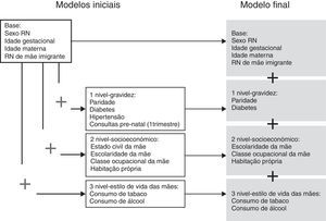 Conjuntos de variáveis do RN e das mães para a construção dos modelos.