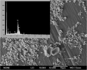Microscopia electrónica de barrido (2.000×) y energía de rayos X para la biomasa de Phanerochaete chrysosporium inmovilizada en contacto con la mezcla de CdSO4, Cl2Ni y C4H6O4Pb a 300mg/l en el reactor de 750ml. Incubación durante 5 días a 30°C y aireación a 1 l/min.