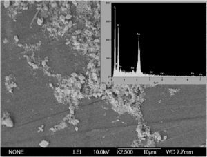Microscopia electrónica de barrido (2.500×) y energía de rayos X para la biomasa de Phanerochaete chrysosporium inmovilizada en contacto con CdSO4 a 300mg/l en Erlenmeyer. Incubación durante 2 días a 30°C y a 120rpm.