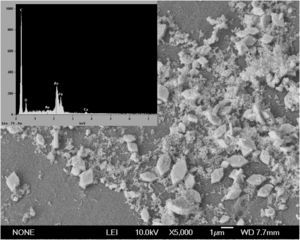 Microscopia electrónica de barrido (5.000×) y energía de rayos X para la biomasa de Phanerochaete chrysosporium inmovilizada en contacto con C4H6O4Pb a 300mg/l en matraz Erlenmeyer. Incubación durante 2 días a 30°C y a 120rpm.