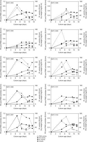 Kinetics of growth and in vitro pectinolytic enzyme production on a defined medium based on pectin as carbon source, by ten Argentinean pathogenic strains of C. truncatum, isolated from diseased soybean plants.