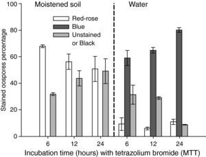 Effect of preservation media (sterile moistened soil and water) during 6, 12 and 24hours on the staining (24hours, 35°C, 0.1% tetrazolium bromide [MTT] solution) of 3 weeks old aged oospores. Crossing P. capsici isolates: 152/95 (mating type A1) x 59 (mating type A2). Red-rose: viable dormant; Blue: viable activated; Black or Unstained: non viable oospores. The exposed data are the average of three counts of 100 oospores with their corresponding standard errors.