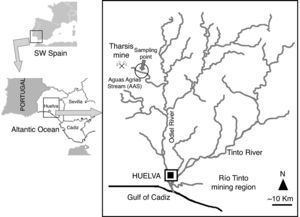 Schematic map of the Río Tinto mining region. The location of Tharsis mine and the sampling site at Aguas Agrias Stream are shown.