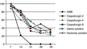 Percentage of positive blood cultures during treatment of the three strains together because they showed a similar curve pattern. Seven days post-inoculation, 90-100% of the cultures were positive. The AMB group (amphotericin B) showed a significant reduction in positive cultures after 2 weeks of treatment (P<0.001). In the other groups, at day 35 between 24.1 and 36.2% were still positive.