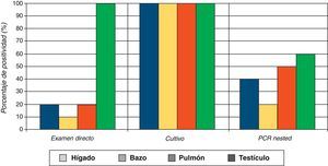 Porcentaje de positividad según examen directo, cultivo y reacción en cadena de la polimerasa (PCR) anidada en órganos de ratones inoculados con la fase de micelio del Sporothrix schenckii.