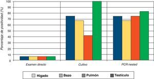 Porcentaje de positividad según examen directo, cultivo y reacción en cadena de la polimerasa (PCR) anidada en órganos de ratones inoculados con la fase de levadura del Sporothrix schenckii.