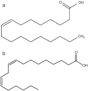 Estructuras de los ácidos oleico (a) y linoleico (b).