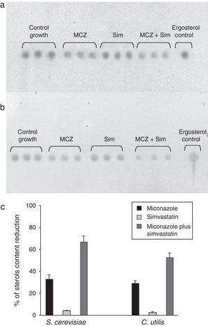 Effects of miconazole (MCZ), simvastatin (Sim) and their synergic combination (MCZ+Sim) on the cellular sterols content of S. cerevisiae ATCC 32051 (a) and C. utilis Pr 1–2 (b) after growth in liquid cultures, as detected by TLC. (c) Graphical representation of TLC data, as analyzed by means of the ImageJ program. Percentages of reduction are referred to the control growth with no MCZ or Sim. Results from independent triplicate culture/extractions are displayed.