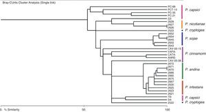 Dendrogram derived by Bray–Curtis cluster analysis reveals the grouping pattern of strains of seven Phytophthora species with the 13 SSRs markers tested.