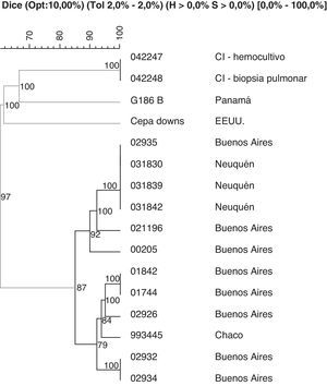 Dendrograma originado a partir de los polimorfismos del ADN de Histoplasma capsulatum obtenidos con los primers 1281-1283. Se señala a la derecha de la figura el origen geográfico de los aislamientos. Las cepas 042247 (hemoculivo) y 042248 (biopsia de pulmón) corresponden a las aisladas del caso índice. Se incluyeron 2 cepas de referencia: Downs y la G186B. El análisis fue realizado por BioNumerics ver. 5.1 (Applied Maths NV), utilizando el coeficiente de Dice.