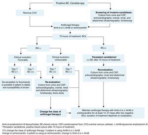 Management of invasive candidiasis in neonates.