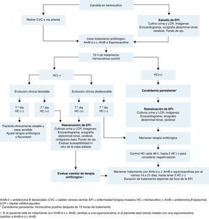 Manejo de la candidiasis invasora en neonatos.