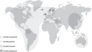 Distribution of most frequently species of Candida other than Candida albicans (in the case of Candida dubliniensis the areas represent those places reporting more than 2% of blood isolates corresponding to this species).