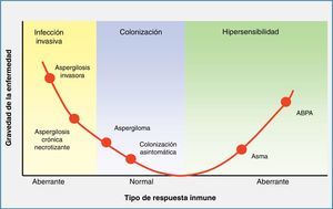 Enfermedades atribuidas a especies de Aspergillus en función de la respuesta inmunitaria del huésped. ABPA: aspergilosis broncopulmonar alérgica.