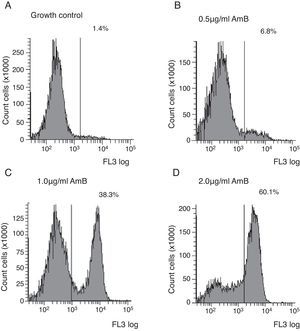 Flow cytometry profiles illustrating the increase in FI of C. neoformans ATCC 90012 cells, analysed by flow cytometry, after 4h treatments with AMB.