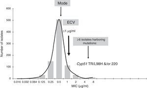 Isavuconazole ECV for A. fumigatus complex (Note: isolates harboring gene mutations have MICs of 4μg/ml.13). Graphical representation of the pooled MIC distribution from eight laboratories used for the calculation of the CLSI ECV of A. fumigatus SC and isavuconazole.