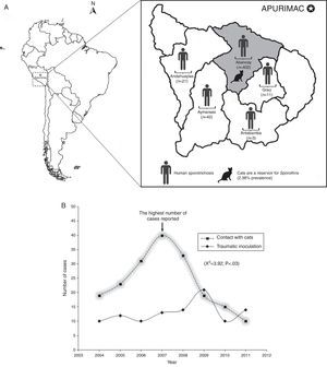 (A) Geographic distribution of cases of sporotrichosis in the region of Apurimac, Peru 2004–2011. The most affected area is Abancay, where the carriage rate of Sporothrix in the cat population is 2.38%.6,9 (B) Distribution of cases of sporotrichosis according to the presence or contact with cats, and traumatic inoculation.