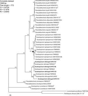 One of the 90 most-parsimonious trees obtained from heuristic searches based on the analysis of the combined data set (ITS+CAL+TUB). Bootstrap support values of 100% are indicated at the nodes. CI, consistency index; RI, retention index; HI, homoplasy index. Chilean strains are indicated with boldface type. T=type strains.