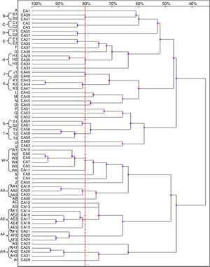 Dendrogram presenting the genetic relatedness of 62 Candida albicans strains from ICU patients, generated by RAPD using CD16AS, HP1247, ERIC-2, OPE-3 and OPE-18 primers. The vertical line divides the strains according to the level of genetic similarity into related and unrelated.