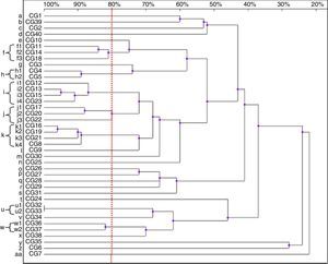 Dendrogram presenting the genetic similarity among 40 Candida glabrata strains, generated by RAPD using CD16AS, HP1247, ERIC-2, OPE-3 and OPE-18 primers. The vertical line divides the strains according to the level of genetic similarity into related and unrelated.