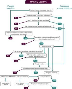 MAGIC algorithm for the diagnosis and treatment of invasive candidiasis.