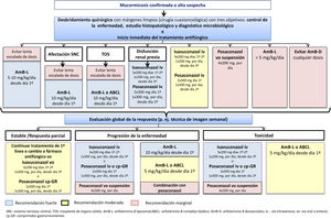 Algoritmo de tratamiento óptimo de la mucormicosis en pacientes adultos en localizaciones geográficas con disponibilidad de todas las modalidades terapéuticas. Adaptada de Cornely et al.10.
