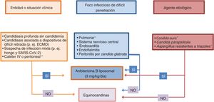 Algoritmo para establecer una terapia individualizada en el manejo de la IFI en el paciente crítico. ECMO: oxigenación por membrana extracorpórea. * Considerar tratamiento combinado con equinocandinas. ** Sellado del catéter con anfotericina B liposomal.
