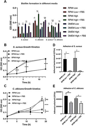 Biofilm formation in different culture media. (A) Biofilm formation by S. aureus (1×107 bacteria per well) and/or C. albicans (1×106 cells per well) was carried out in 96-well plates using different media supplemented or not with FBS: RPMI low and high glucose concentrations, and DMEM low and high glucose concentrations. (B and C) Growth kinetics analysis for S. aureus and C. albicans in RPMI low and high glucose concentrations, supplemented or not with FBS. Two-way ANOVA with multiple comparisons (Tukey test) was used to compare among treatments (p≤0.05). (D and E) Adhesion of S. aureus or C. albicans in RPMI low and high glucose concentrations, supplemented or not with FBS, was evaluated on 12-well plates. The different media were compared by means of one-way ANOVA with multiple comparisons (Tukey test, p≤0.05). This experiment was repeated twice in triplicate.