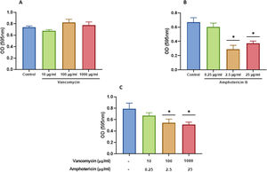 Destabilization of the S. aureus and C. albicans polymicrobial biofilm with amphotericin B and vancomycin. Polymicrobial biofilms were treated for 24h with: (A) vancomycin at 10, 100, and 1000 μg/ml; (B) amphotericin B at 0.25, 2.5, and 25μg/ml; and (C) amphotericin B and vancomycin at the aforementioned concentrations. Dunnett