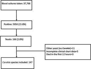 Flow chart of study population.