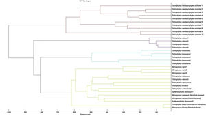 Dendrogram of the isolates used in the in-house database (RMCABA DB), based on the spectra obtained with MALDI-TOF MS.