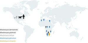 Geographical distribution of species causing blastomycosis in man and dog. Note that the species causing blastomycosis in North America and Africa are different. At present, there are no reliable data on the occurrence of this mycosis in animals and its aetiology in Africa and the Middle East.2