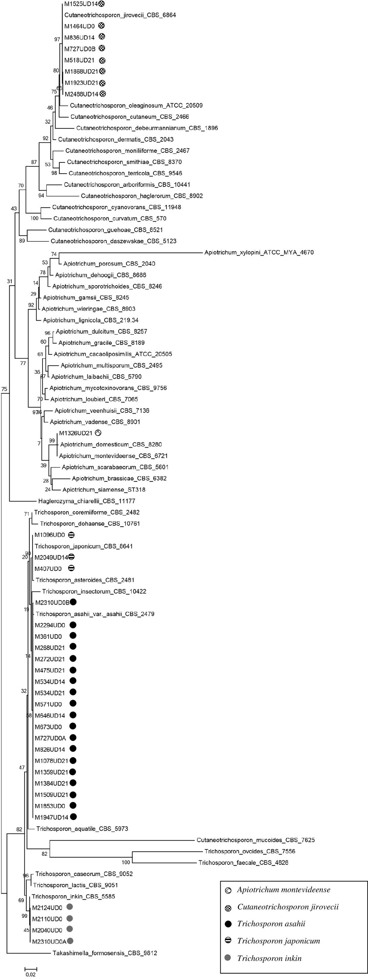 fig0005