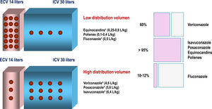 Volume of distribution and plasma protein binding of different antifungals. ECV: extracellular volume; ICV: intracellular volume. *They require a loading dose. Distribution volumes taken from AEMPS data sheets 2024.