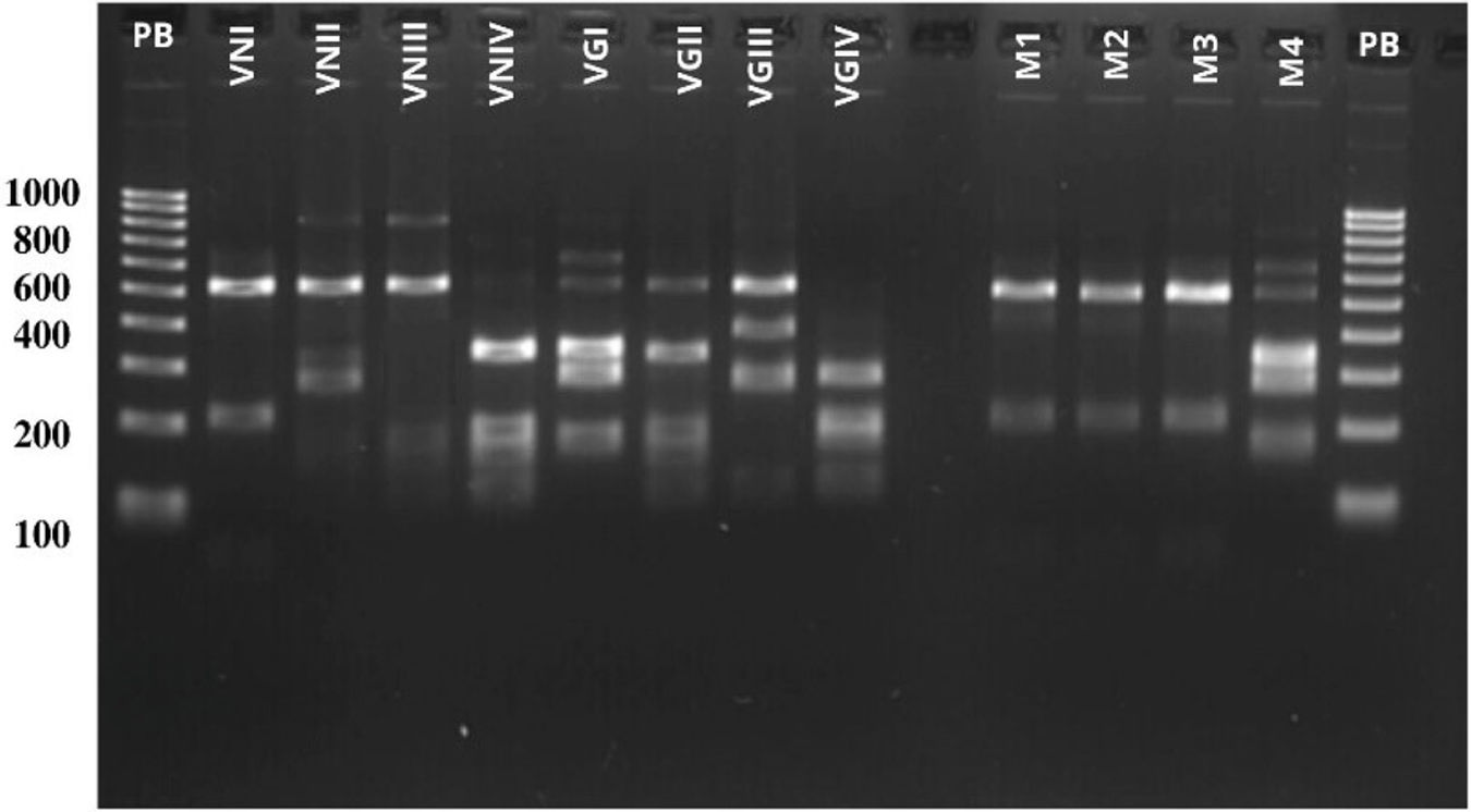 fig0020