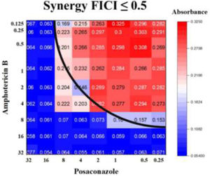 Heat map representing the synergism between AMB and PCZ against R. homothallicus sporangiospores.