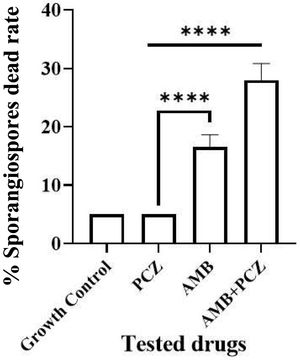 Sporangiospores dead rate after being exposed to amphotericin B (AMB), posaconazole (PCZ), and AMB+PCZ for 10h. The results were obtained by means of flow cytometry, and statistical significance, ****p≤00001, was calculated using One-way ANOVA.