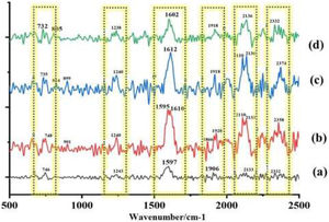 Raman spectra of R. homothallicus. (a) Growth control; (b) sporangiospores treated with AMB; (c) sporangiospores treated with PCZ; and (d) sporangiospores treated with AMB+PCZ.
