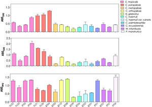 Biofilm formation by the fungal isolates obtained from recreational coastal waters of Rio de Janeiro. Biofilms were developed on a polystyrene surface at 37°C for 48h and subsequently prepared for quantification of fungal biomass by measuring absorbance at 590nm, extracellular matrix at 530nm and metabolic activity at 492nm. The results are expressed as absorbance values (ABS) per isolate studied. The results represent means±standard deviation of three independent experiments. The codes on the X-axis of the graph represent each of the 18 yeast isolates used.
