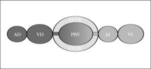 Compartimentos analizados. Imagen reproducida con el permiso de Pulsion Medical Systems. AD: aurícula derecha; AI: aurícula izquierda; EVLW: agua pulmonar extravascular; PBV: volumen de sangre pulmonar; VD: ventrículo derecho; VI: ventrículo izquierdo.