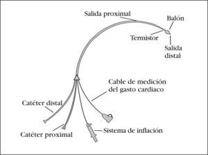 Esquema de las diferentes luces del catéter Swan-Ganz.