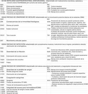 Diagnósticos enfermeros, taxonomía NANDA, NIC, NOC (00196, 0040, 00004, 00206).