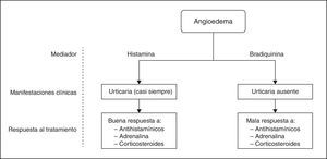 Esquema de los tipos principales de angioedema según el mediador químico responsable, las manifestaciones clínicas y la respuesta al tratamiento (elaboración propia).