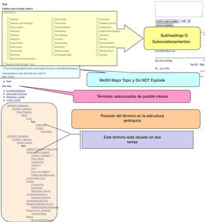 Ejemplo de la información en el MeSH para el encabezamiento «Eye» en PubMed (https://www.ncbi.nlm.nih.gov/mesh).
