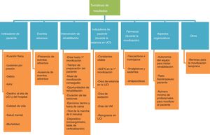 Clasificación de las principales temáticas que agrupan los resultados encontrados en la literatura. NAV: neumonía asociada a ventilación; SOFA: Sequential organ failure assessment; VM: ventilación mecánica.