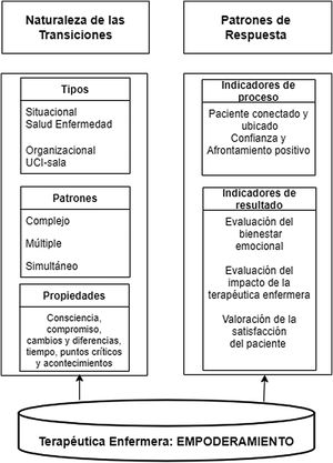 Principales temas del análisis secundario (AS).Traducido y adaptado de Schumacher y Meleis1.
