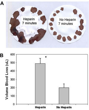 Anticoagulación de los animales con heparina. A En presencia de heparina, las manchas obtenidas en cada intervalo de tiempo fueron considerablemente mayores que las obtenidas en ratones tratados con suero salino. B El análisis cuantitativo de la pérdida hemática demostró una hemorragia significativamente mayor a partir de ratones heparinizados (∗p < 0,01). Heparin 7 minutes: Heparina 7 minutos. No Heparin 7 minutes: Sin heparina 7 minutos. Volume Blood Loss (μL): Volumen de pérdida hemática (μl). Heparin: Heparina. No Heparin: Sin heparina.